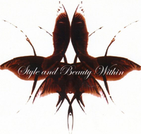 Style amp Beauty Within - Hairdresser Australia