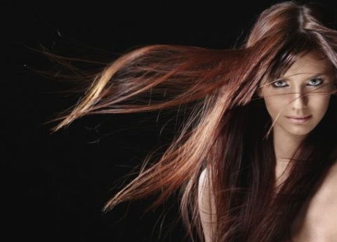 Next Appointment Hairstyling - Hairdresser Australia 1